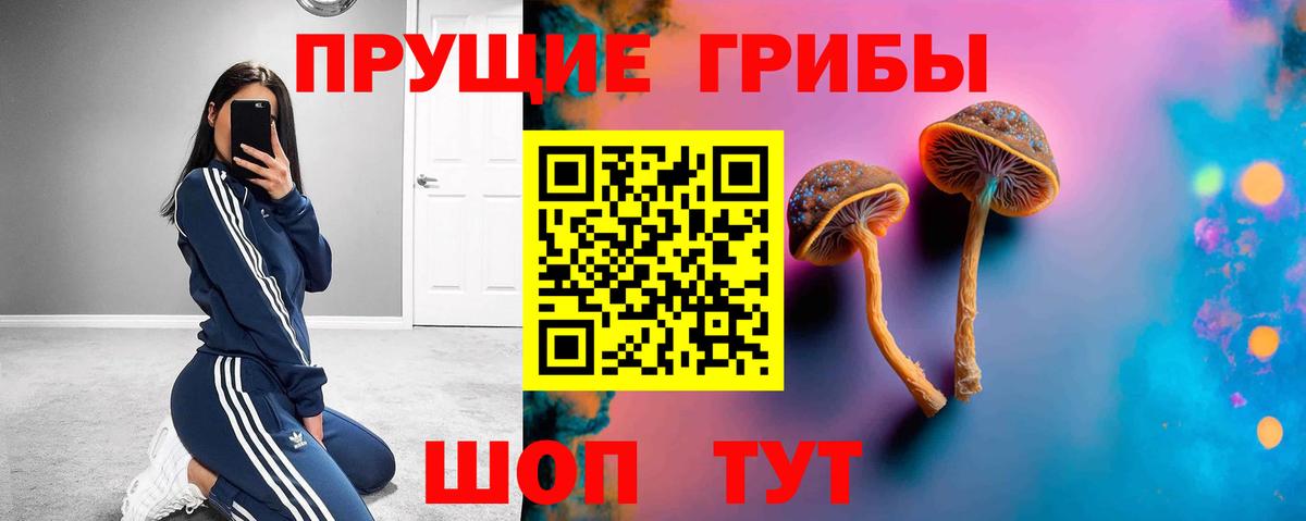 Галлюциногенные грибы Psilocybe  Вход с VPN  наркота  Псилоцибиновые грибы Cubensis  Рузаевка 