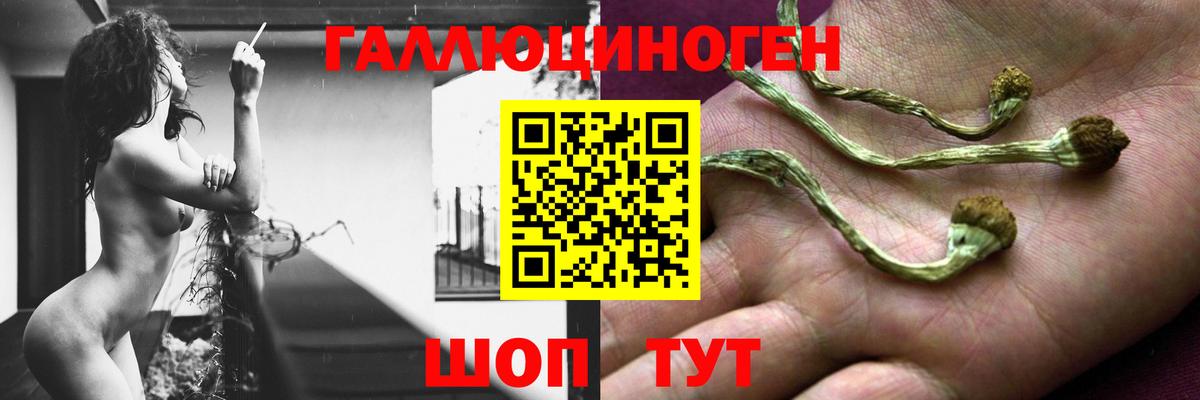 Галлюциногенные грибы MAGIC MUSHROOMS Рузаевка